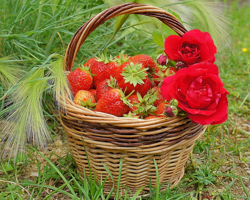photo of strawberry on brown wooden wicker basket HD wallpaper