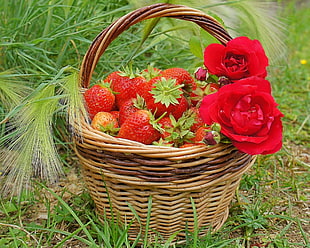 photo of strawberry on brown wooden wicker basket