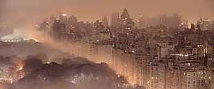 gray concrete buildings, cityscape, New York City HD wallpaper