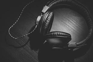grayscale photogrpahy of headphones HD wallpaper