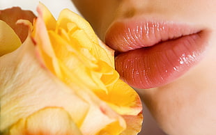 Lips,  Flower,  Yellow,  Pink HD wallpaper