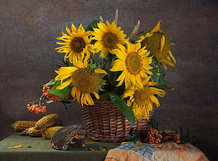 sunflower arrangement in basket HD wallpaper
