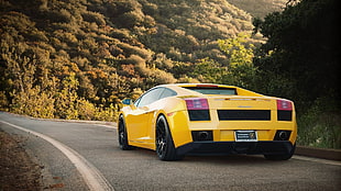 yellow Lamborghini Murcielago on grey concrete road during daytime