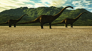 three long neck dinosaurs walking on the field during daytime