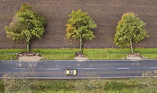 yellow car, nature, landscape, trees, road HD wallpaper