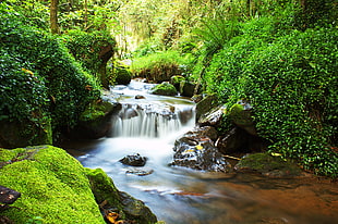 waterfall surrounded by trees HD wallpaper