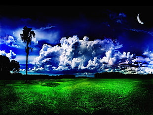 green grass at cloudy sky
