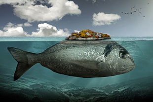 gray fish illustration, artwork, digital art, surreal, underwater