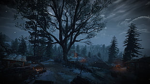 silhouette of trees wallpaper, The Witcher 3: Wild Hunt, video games, Skellige