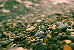 pile of gray pebbles, nature, stones
