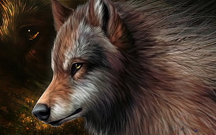 photography of wolf HD wallpaper