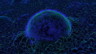 blue and green bacteria macro photography HD wallpaper