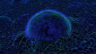 blue and green bacteria macro photography