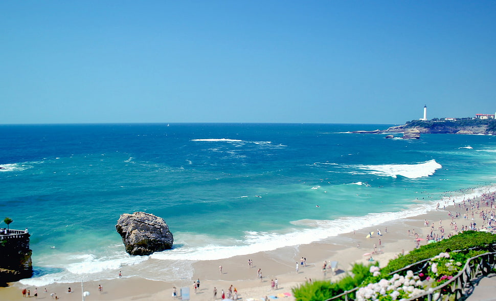 seashore, beach HD wallpaper