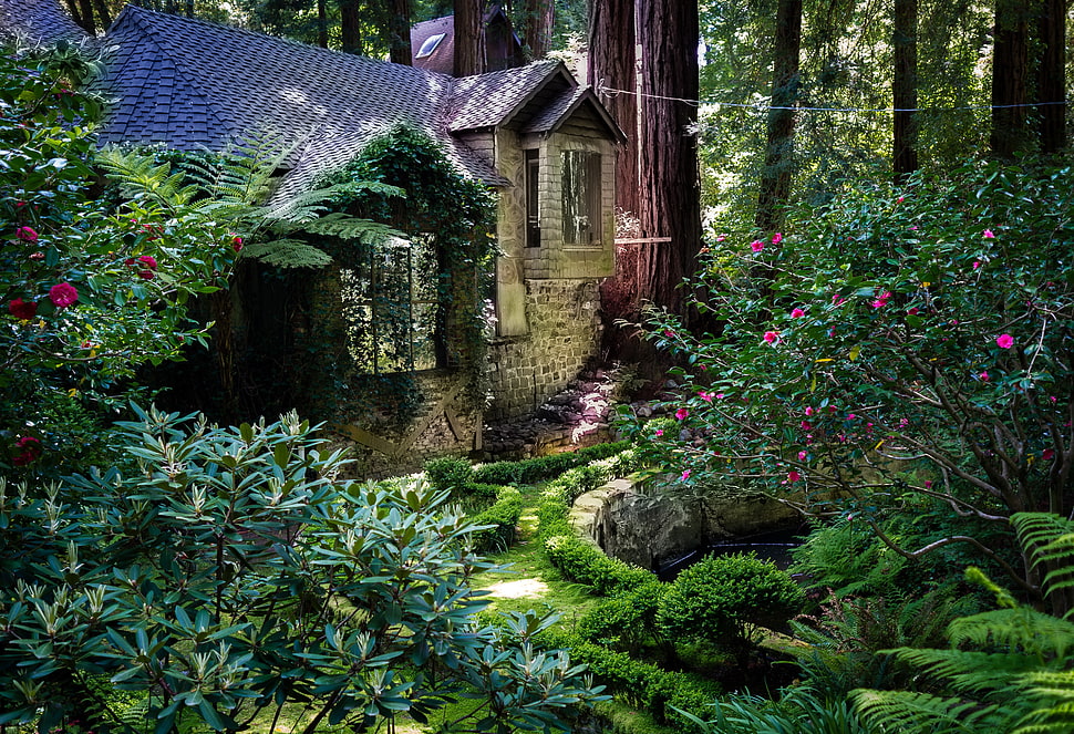 gray concrete house, nature, landscape, trees, forest HD wallpaper