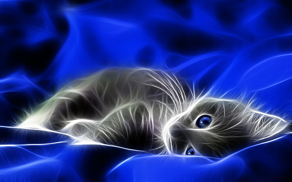 black and white cat illustration HD wallpaper