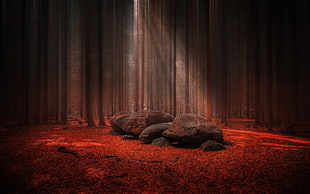 black rocks on red textile digital wallpaper