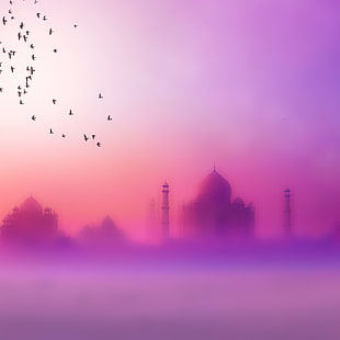 Taj Mahal, nature HD wallpaper