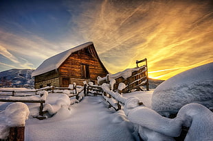 brown shack, house, snow HD wallpaper