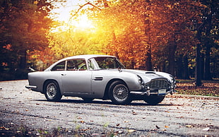 gray coupe, car, fall, sunset, Aston Martin