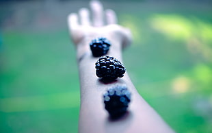 three purple berries on human arm