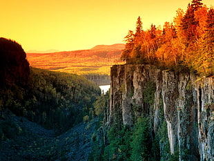landscape photograph of valley