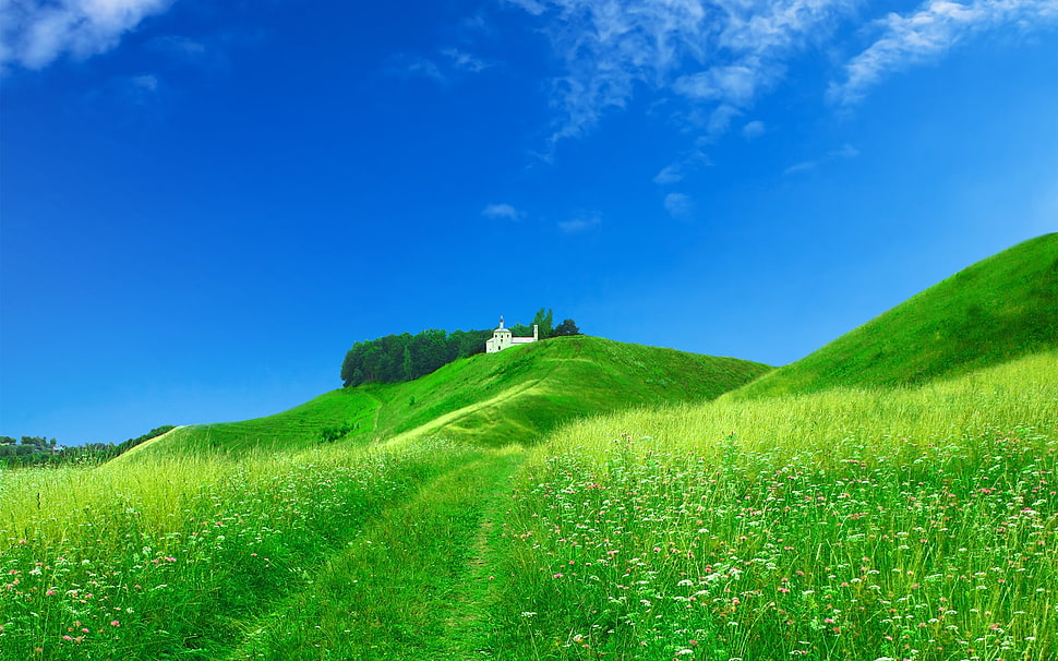 green grass under cloudy skies during daytime HD wallpaper