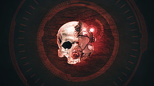cyborg skull illustration