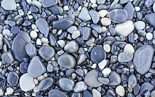 gray stones, pebbles, nature, stones, texture HD wallpaper