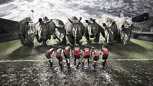 group of soccer player facing rhinoceros HD wallpaper