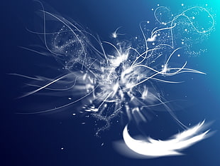 white and blue feathers digital wallpaper
