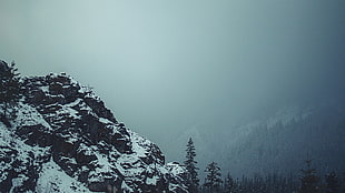 mountain covered in snow, snow, mountains, trees, nature