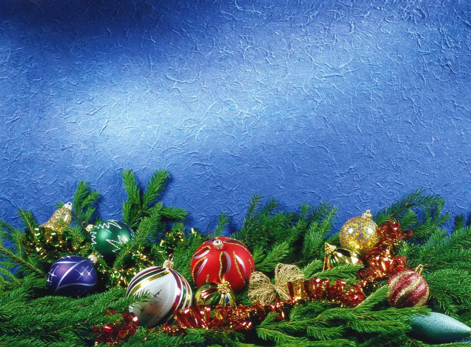 assorted color baubles in green plants