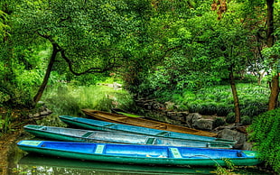 three canoe boats under green trees