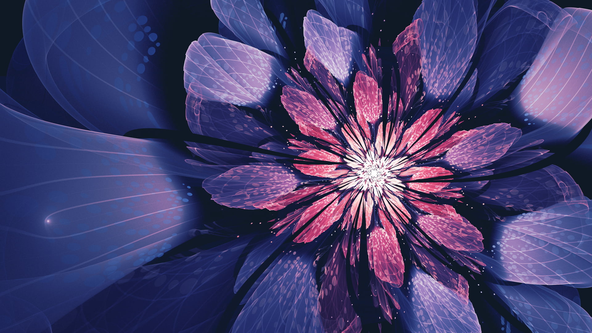 1920x1080 resolution | purple and red petaled flower illustration ...
