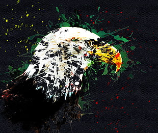American Bald eagle painting HD wallpaper