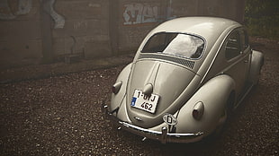 grey Volkswagen Beetle car, Volkswagen, vintage, Oldtimer, Belgium HD wallpaper