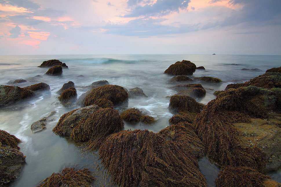 sea, landscape, nature, sky HD wallpaper