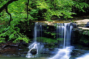 waterfalls surrounded of green forest under sunny sky