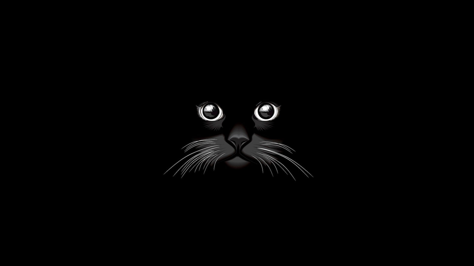 Black Cat Illustration Hd Wallpaper Wallpaper Flare Images, Photos, Reviews