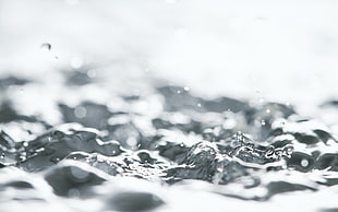 closeup grayscale photography of water