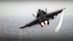 black aircraft, McDonnell Douglas F/A-18 Hornet, jets, afterburner, airplane