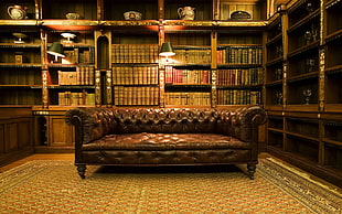 photo of tufted brown leather sofa inside room with book cases