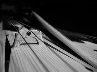 grayscale photography of kemenche stringed instrument, musical notes, kemence, musical instrument, lyra