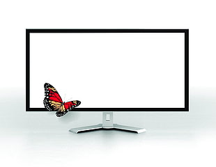 Monarch butterfly on black flat screen TV