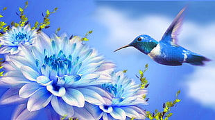 hummingbird hovering near white flower illustration HD wallpaper