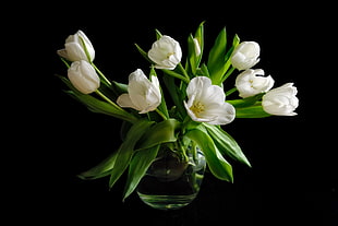 white petaled flower on clear glass vase