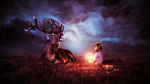 girl holding lantern sitting in front of a buck animal digital wallpaper