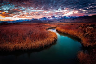 body of water beside grasses, mountains, river, clouds, grass