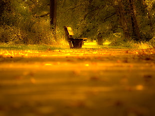 selective focus photography of brown wooden bench surrounded with green trees and plants